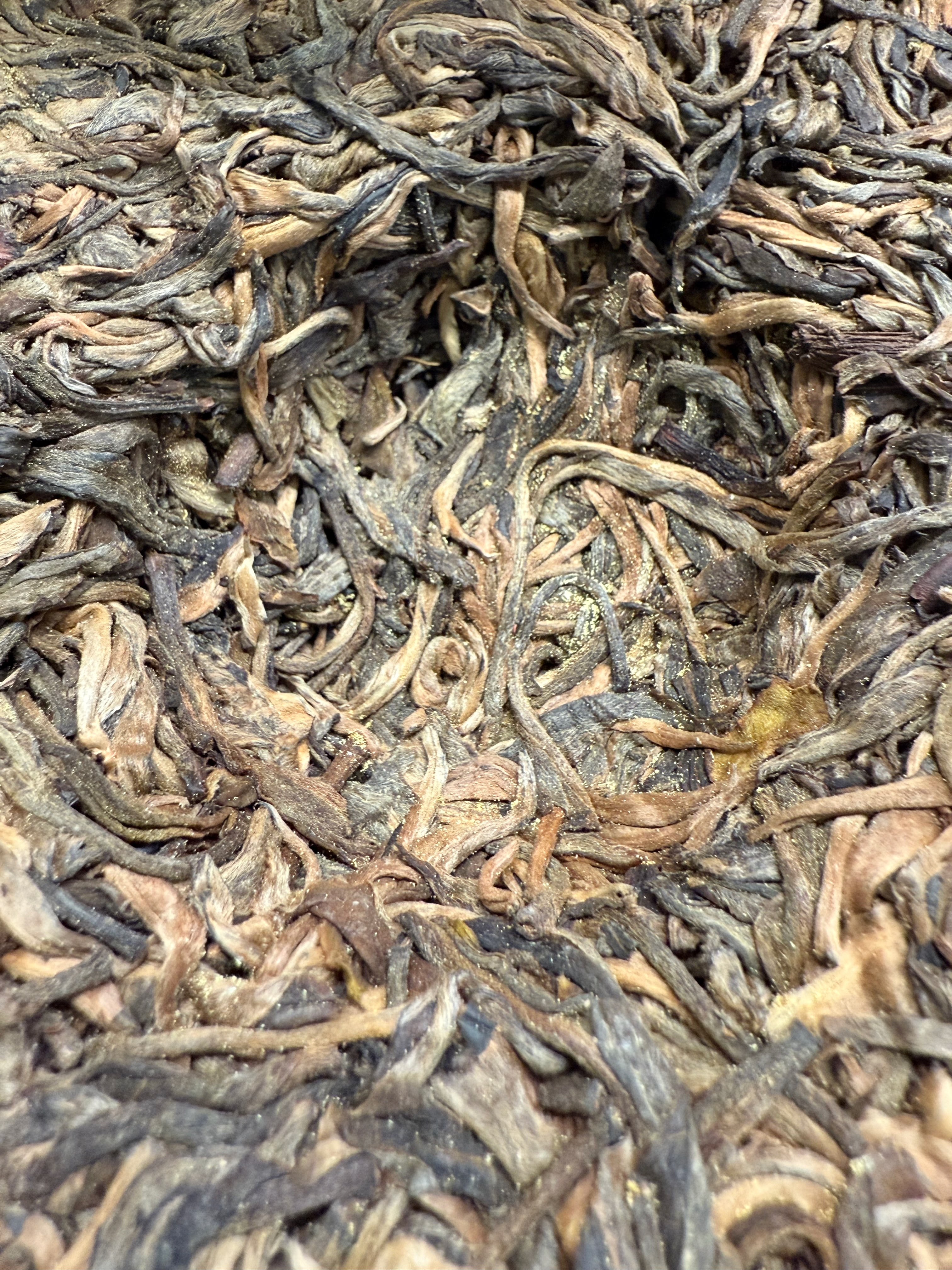 Large view of the affected pu-erh cake