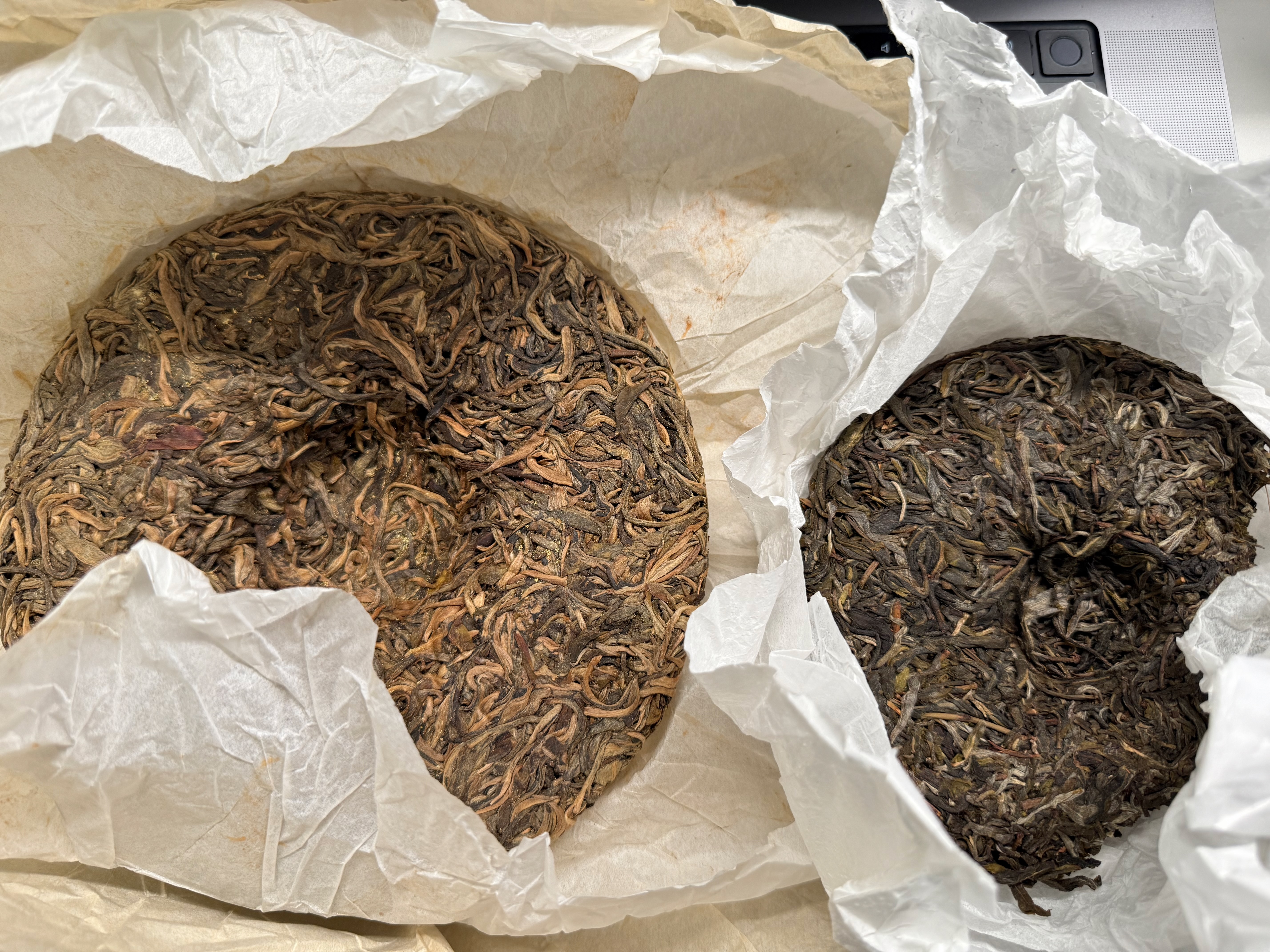 Full view of both tea cakes showing yellow tones