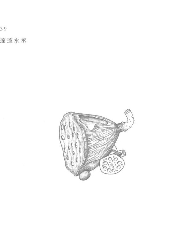 莲蓬水丞 Yixing teapot